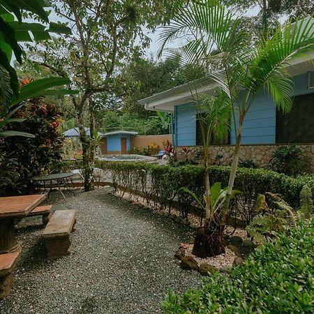 Oasis Diverse Adult Retreat Quepos Exteriér fotografie
