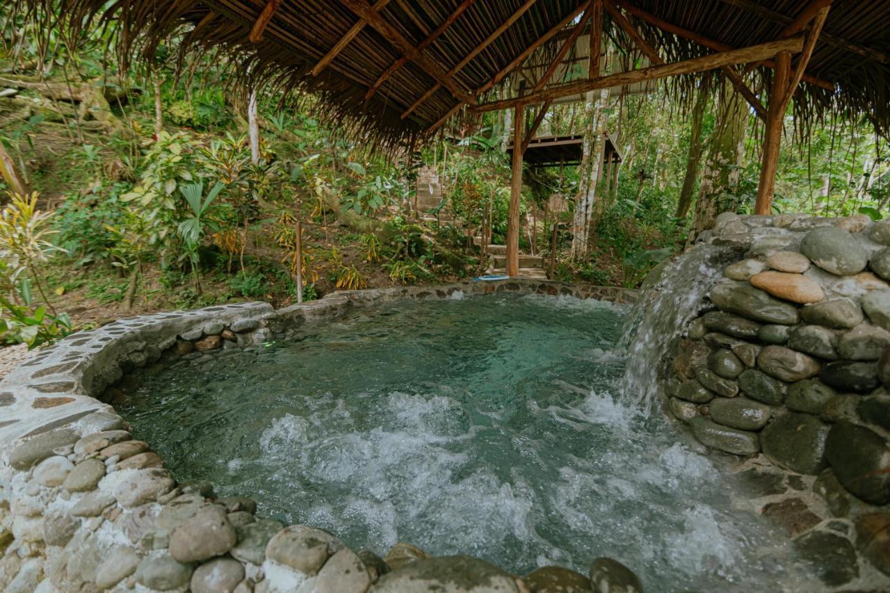 Oasis Diverse Adult Retreat Quepos Exteriér fotografie
